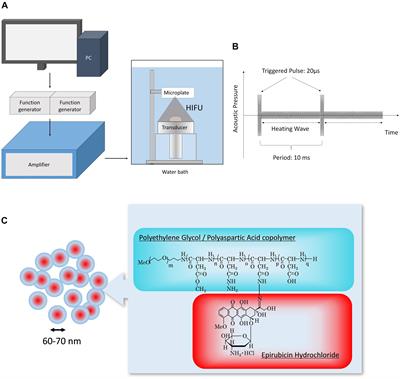 Function of Epirubicin-Conjugated Polymeric Micelles in Sonodynamic Therapy